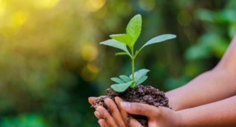 आज विश्व माटो दिवस मनाइँदै