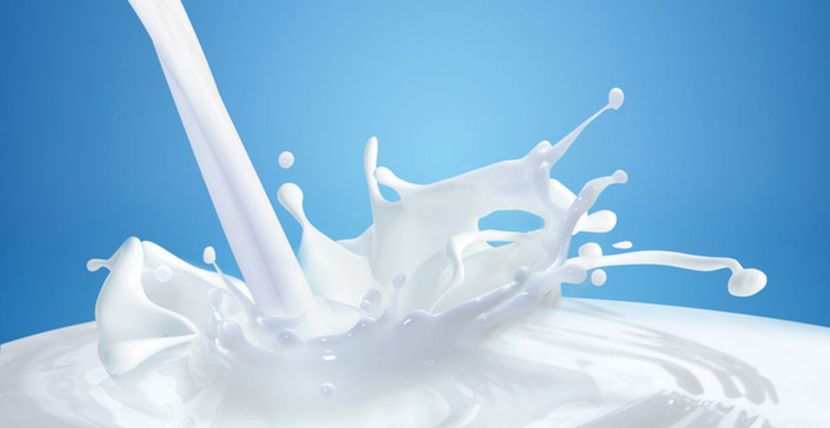 दूधको मूल्य वृद्धि गर्न माग