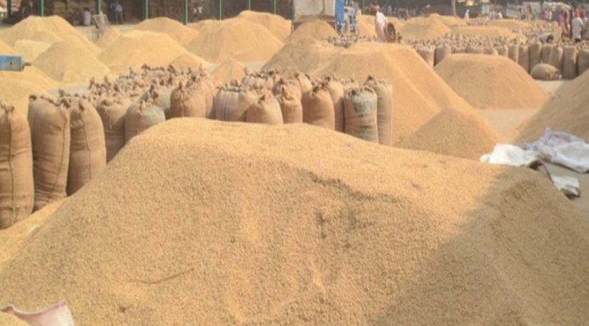 खाद्य व्यवस्था कम्पनीद्वारा ६३ हजार क्विन्टल धान खरिद