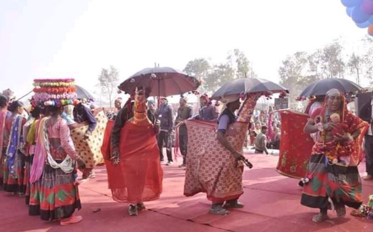 कैलालीमा घोरीघोरा लवाङ्गी पूजा सुरु