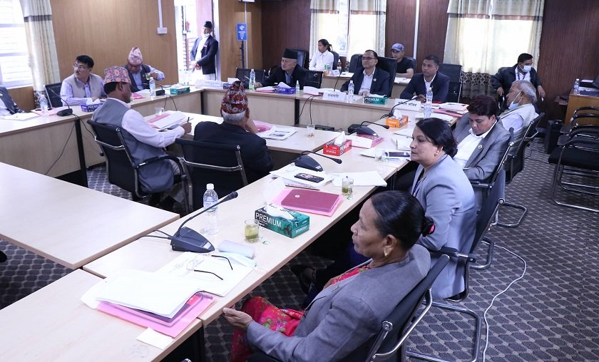 सांसदको प्रस्ताव - दाइजोको नाममा गरिने हिंसालाई पनि यौनजन्य हिंसाको रुपमा लिनुपर्छ