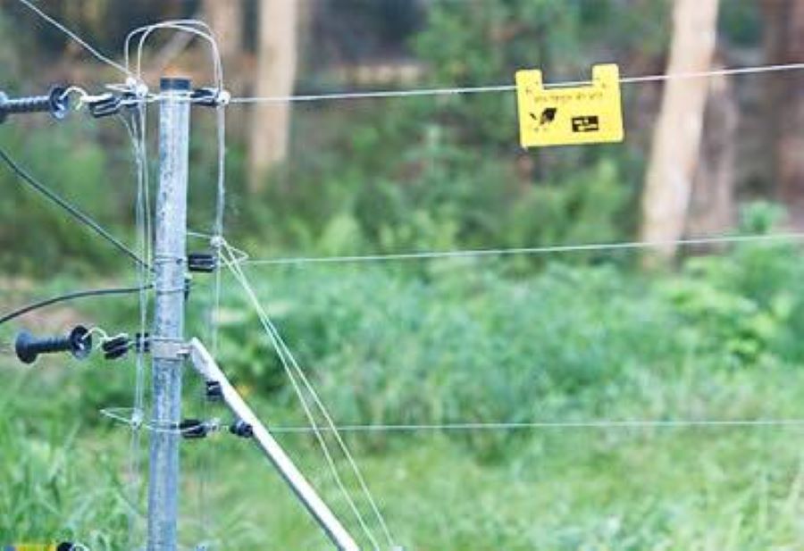 मानव–हात्ती द्वन्द्व घटाउन ७६ किलोमिटर सौर्य तारबार